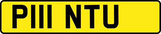 P111NTU