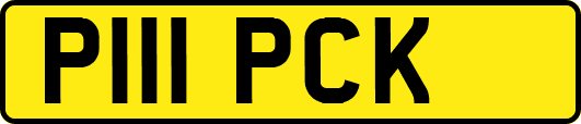 P111PCK