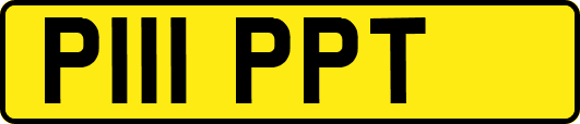 P111PPT