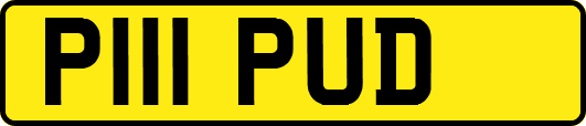 P111PUD