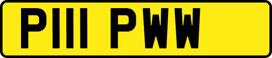 P111PWW