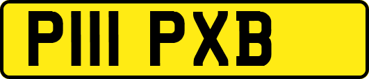 P111PXB