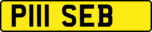 P111SEB