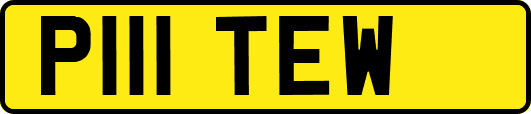 P111TEW