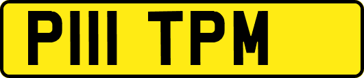 P111TPM
