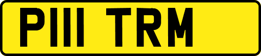 P111TRM