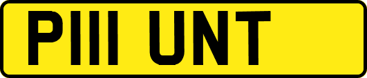 P111UNT