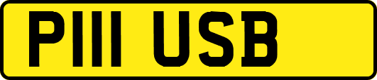 P111USB
