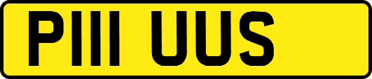 P111UUS