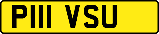 P111VSU