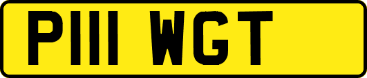 P111WGT