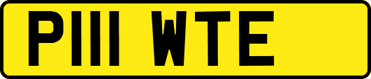 P111WTE