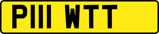 P111WTT