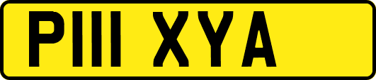 P111XYA