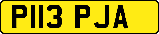 P113PJA