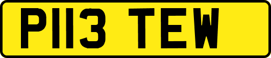P113TEW