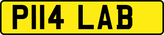 P114LAB