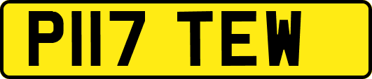 P117TEW