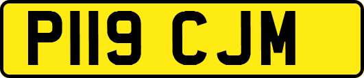 P119CJM