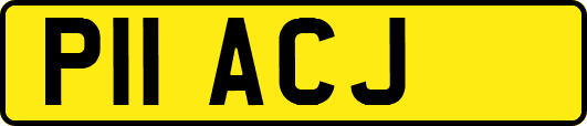 P11ACJ