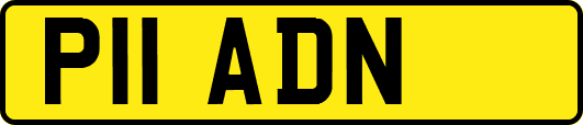 P11ADN