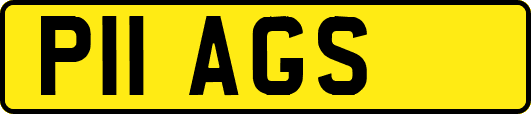 P11AGS