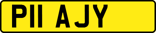 P11AJY