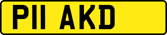 P11AKD