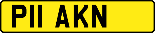 P11AKN