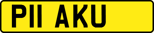 P11AKU