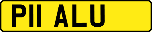 P11ALU