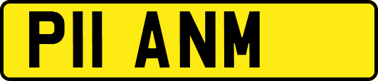 P11ANM