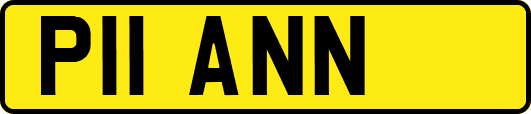 P11ANN