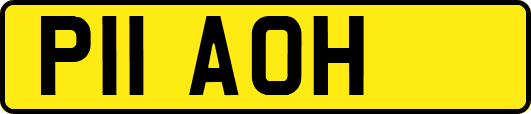 P11AOH