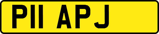 P11APJ