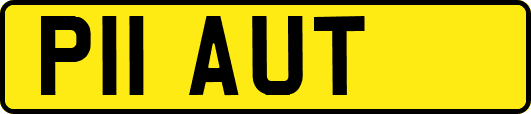 P11AUT