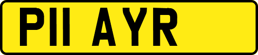 P11AYR