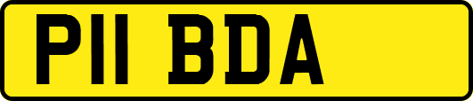 P11BDA