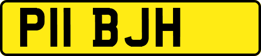 P11BJH