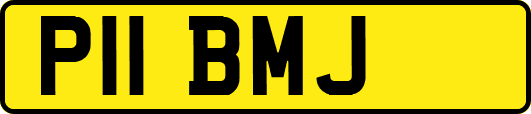 P11BMJ