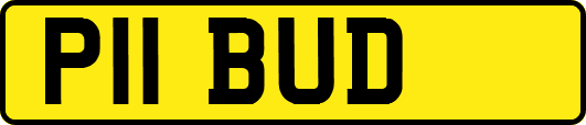 P11BUD