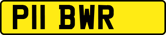 P11BWR