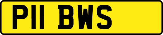 P11BWS