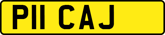 P11CAJ