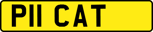 P11CAT