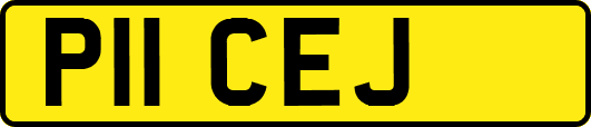 P11CEJ