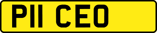 P11CEO