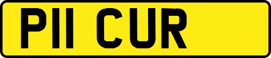 P11CUR