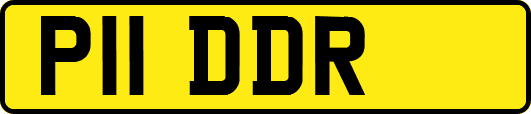 P11DDR