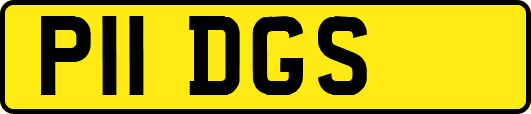 P11DGS